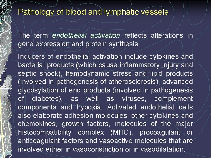 Pathology of blood and lymphatic vessels The term endothelial activation reflects alterations in gene