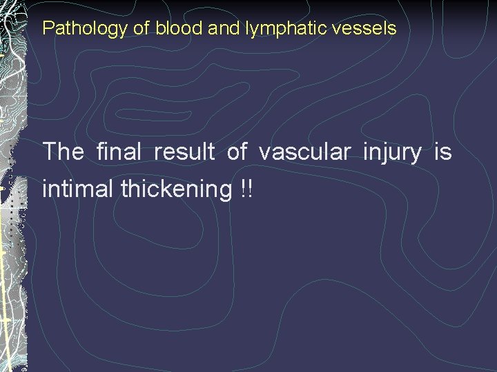 Pathology of blood and lymphatic vessels The final result of vascular injury is intimal