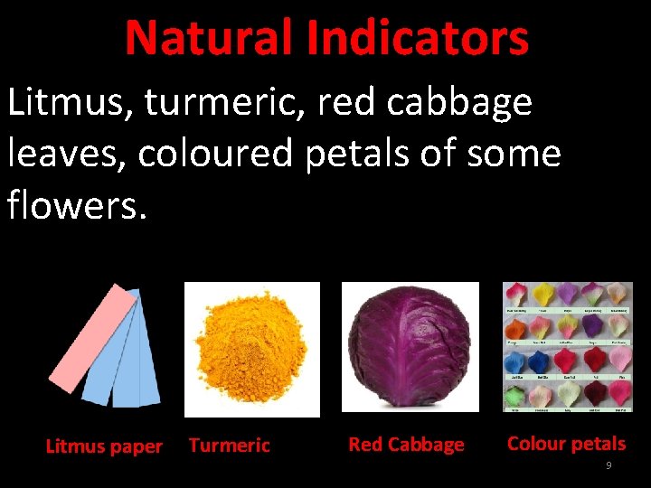 Natural Indicators Litmus, turmeric, red cabbage leaves, coloured petals of some flowers. Litmus paper