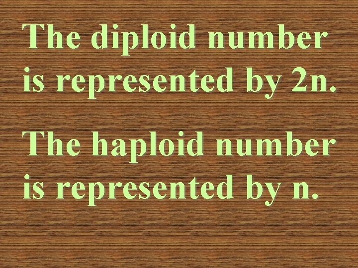 The diploid number is represented by 2 n. The haploid number is represented by