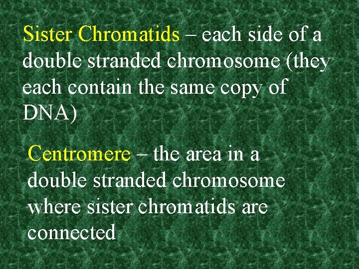 Sister Chromatids – each side of a double stranded chromosome (they each contain the