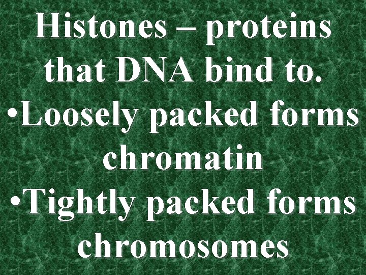 Histones – proteins that DNA bind to. • Loosely packed forms chromatin • Tightly