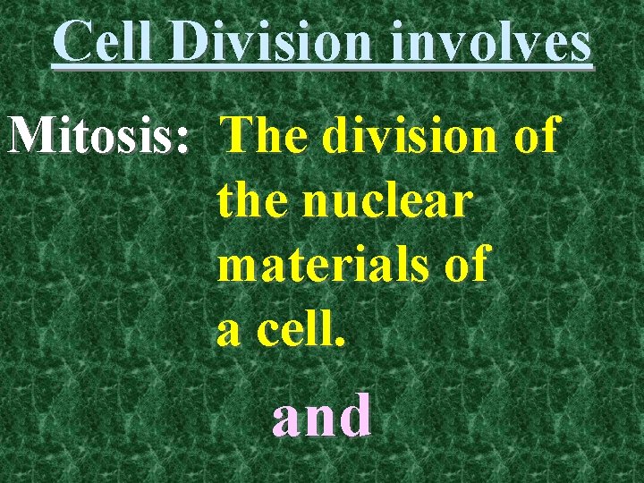 Cell Division involves Mitosis: The division of the nuclear materials of a cell. and