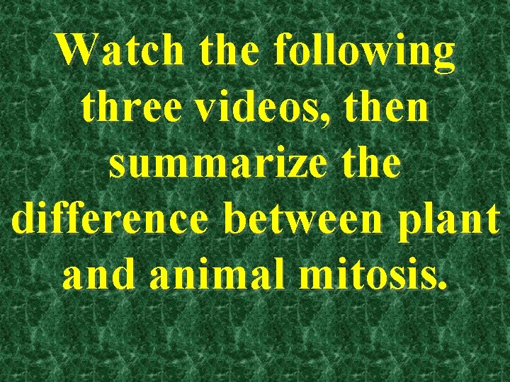 Watch the following three videos, then summarize the difference between plant and animal mitosis.