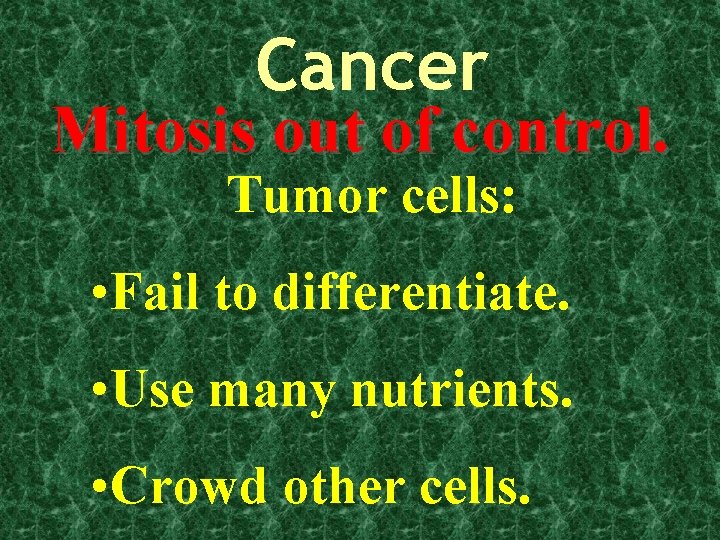 Cancer Mitosis out of control. Tumor cells: • Fail to differentiate. • Use many
