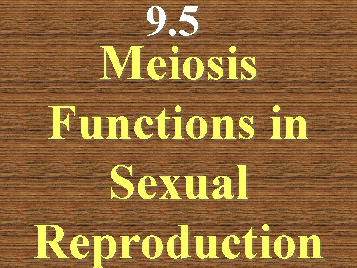 9. 5 Meiosis Functions in Sexual Reproduction 