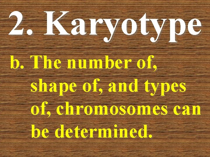 2. Karyotype b. The number of, shape of, and types of, chromosomes can be