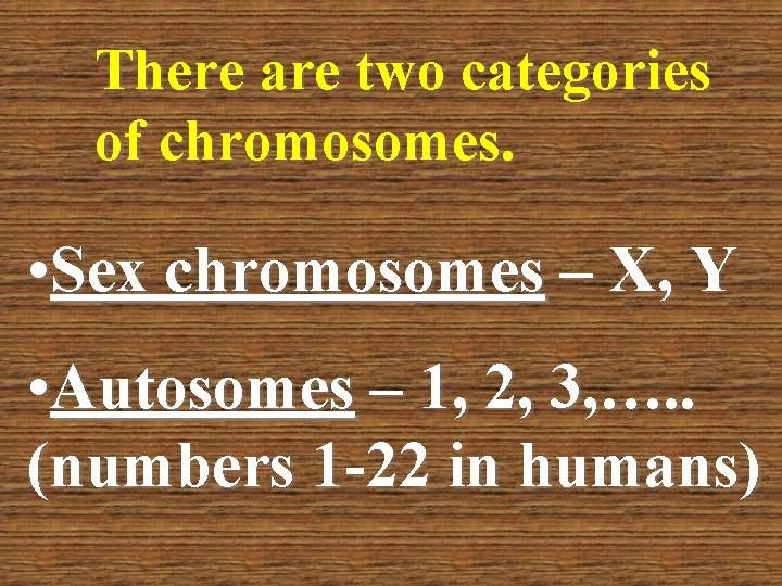 There are two categories of chromosomes. • Sex chromosomes – X, Y • Autosomes