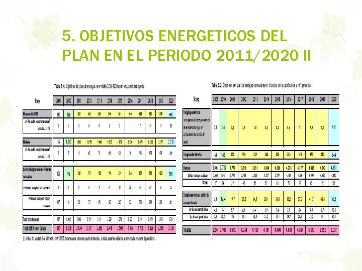 5. OBJETIVOS ENERGETICOS DEL PLAN EN EL PERIODO 2011/2020 II 