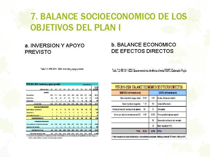 7. BALANCE SOCIOECONOMICO DE LOS OBJETIVOS DEL PLAN I a. INVERSION Y APOYO PREVISTO