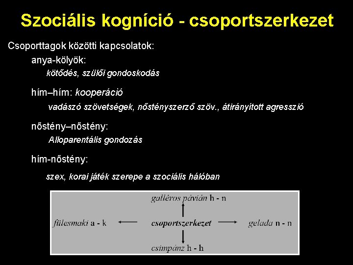 Szociális kogníció - csoportszerkezet Csoporttagok közötti kapcsolatok: anya-kölyök: kötődés, szülői gondoskodás hím–hím: kooperáció vadászó