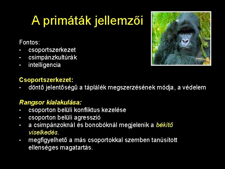 A primáták jellemzői Fontos: • csoportszerkezet • csimpánzkultúrák • intelligencia Csoportszerkezet: • döntő jelentőségű