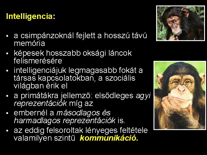 Intelligencia: • • • a csimpánzoknál fejlett a hosszú távú memória képesek hosszabb oksági