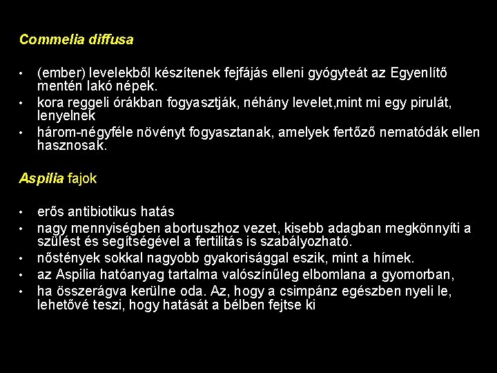 Commelia diffusa • • • (ember) levelekből készítenek fejfájás elleni gyógyteát az Egyenlítő mentén