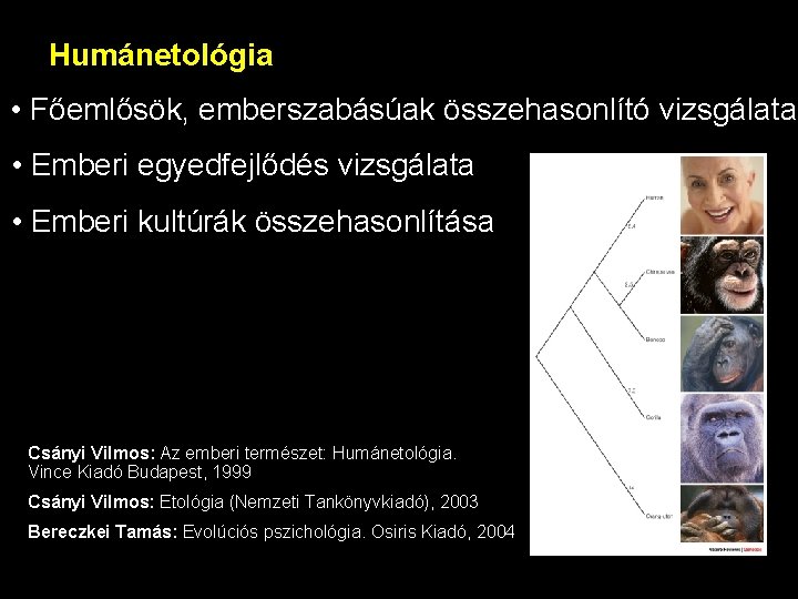 Humánetológia • Főemlősök, emberszabásúak összehasonlító vizsgálata • Emberi egyedfejlődés vizsgálata • Emberi kultúrák összehasonlítása