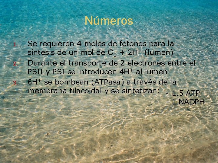 Números 1. 2. 3. Se requieren 4 moles de fotones para la síntesis de