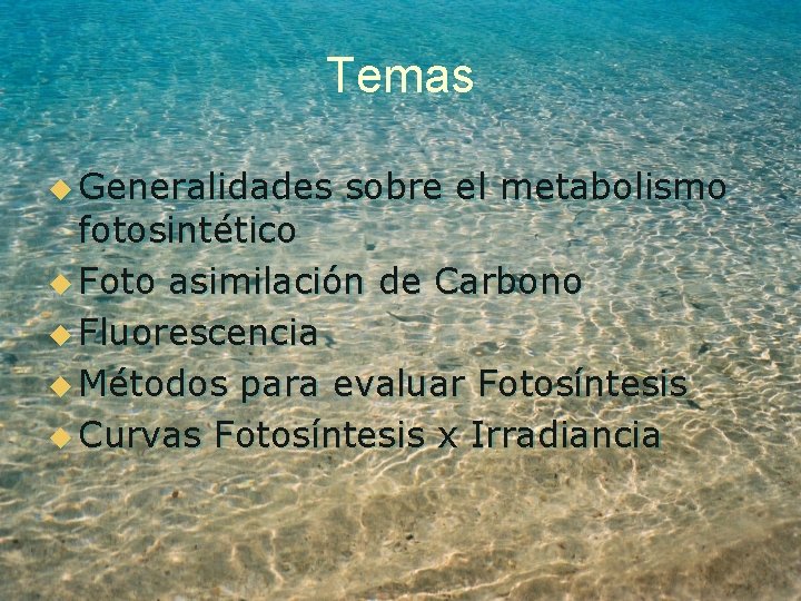 Temas u Generalidades sobre el metabolismo fotosintético u Foto asimilación de Carbono u Fluorescencia