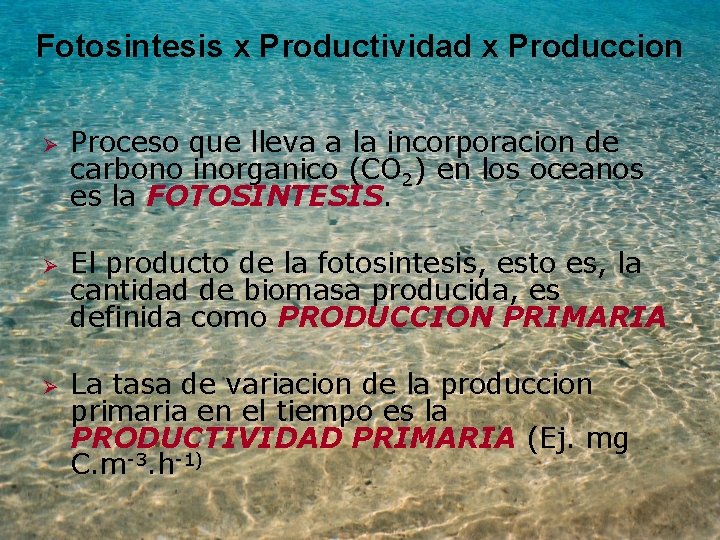 Fotosintesis x Productividad x Produccion Ø Ø Ø Proceso que lleva a la incorporacion