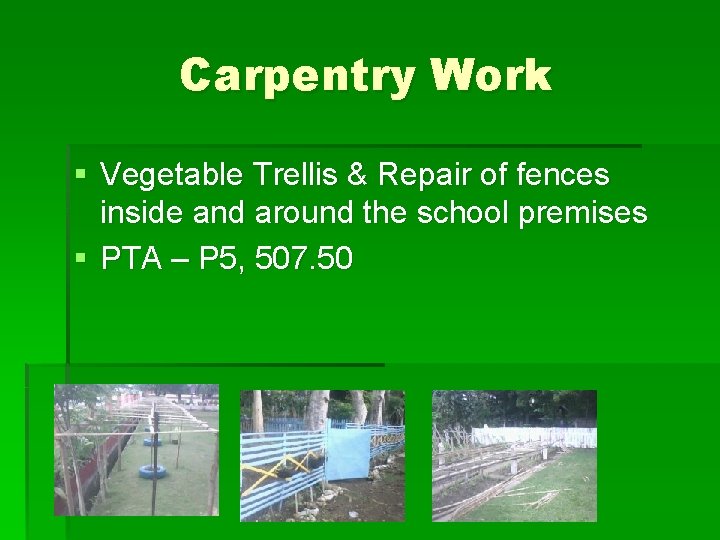 Carpentry Work § Vegetable Trellis & Repair of fences inside and around the school