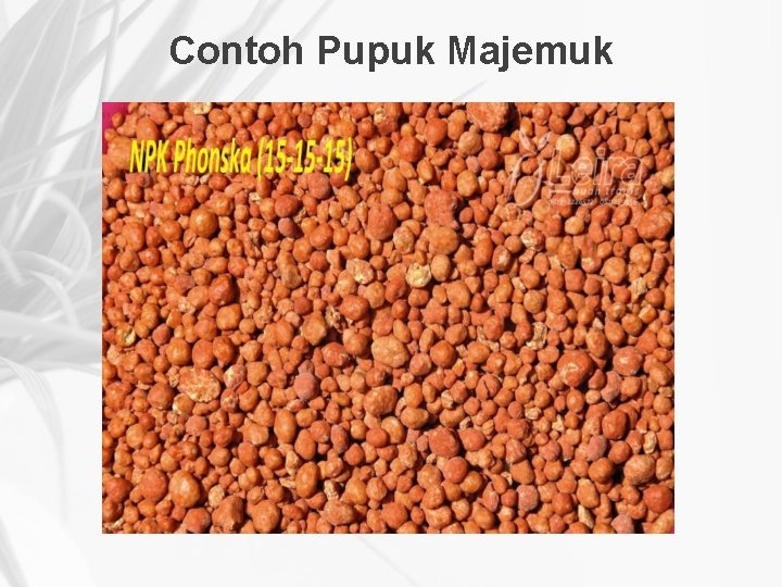 Contoh Pupuk Majemuk 