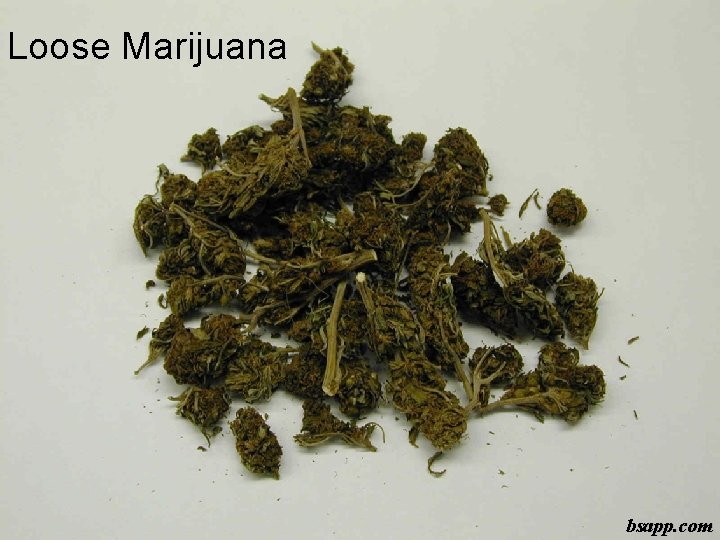 Loose Marijuana bsapp. com 