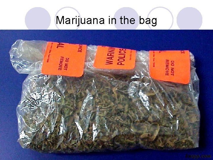 Marijuana in the bag bsapp. com 