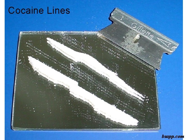 Cocaine Lines bsapp. com 