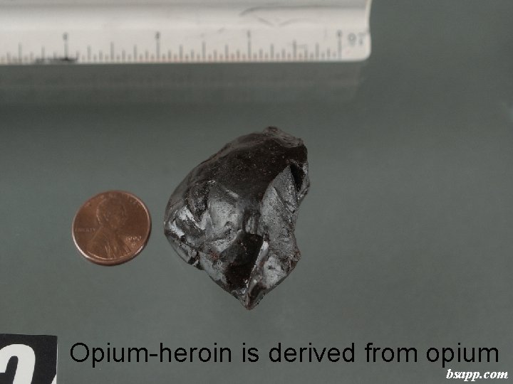 Opium-heroin is derived from opium bsapp. com 