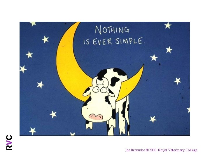 Joe Brownlie © 2008 Royal Veterinary College 