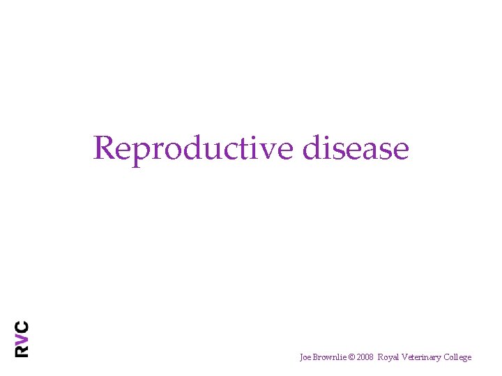 Reproductive disease Joe Brownlie © 2008 Royal Veterinary College 