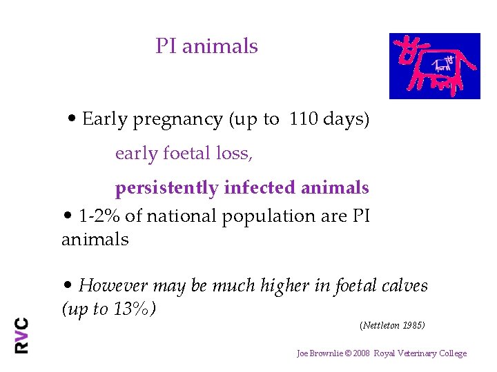 PI animals • Early pregnancy (up to 110 days) early foetal loss, persistently infected