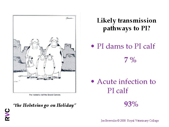 Likely transmission pathways to PI? • PI dams to PI calf 7% • Acute