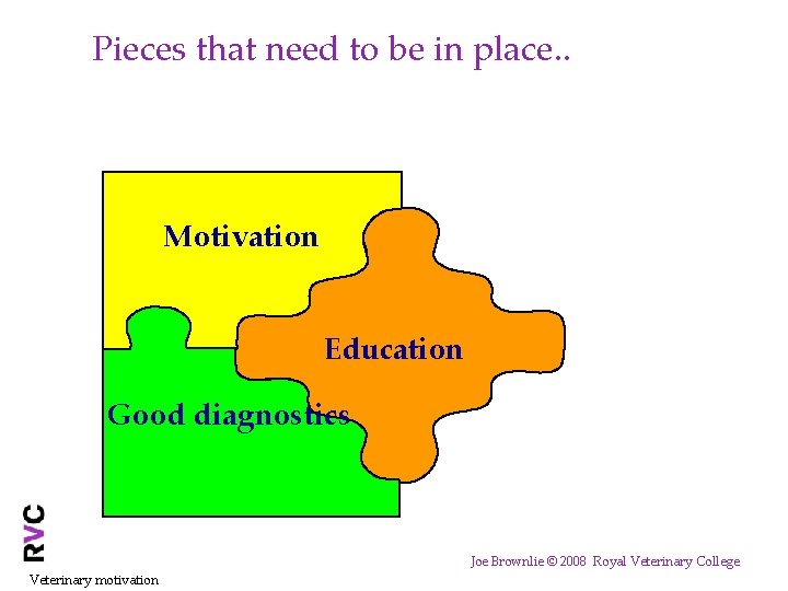 Pieces that need to be in place. . Motivation Education Good diagnostics Joe Brownlie
