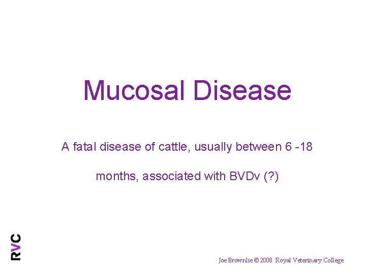 Mucosal Disease A fatal disease of cattle, usually between 6 -18 months, associated with
