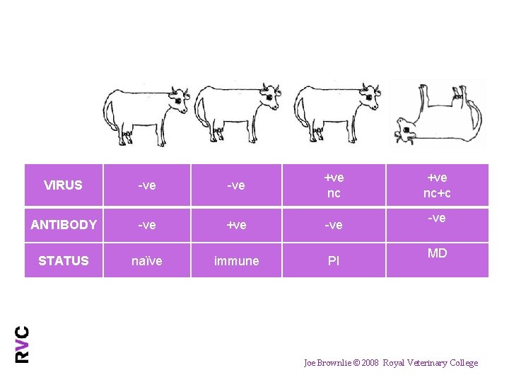 VIRUS -ve +ve nc ANTIBODY -ve +ve -ve STATUS naïve immune PI +ve nc+c
