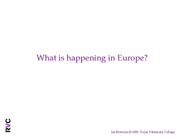 What is happening in Europe? Joe Brownlie © 2008 Royal Veterinary College 