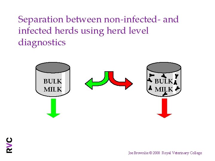 Separation between non-infected- and infected herds using herd level diagnostics BULK MILK Joe Brownlie