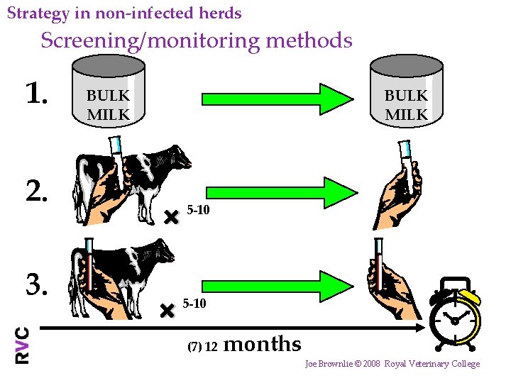 Strategy in non-infected herds Screening/monitoring methods 1. 2. 3. BULK MILK 5 -10 (7)
