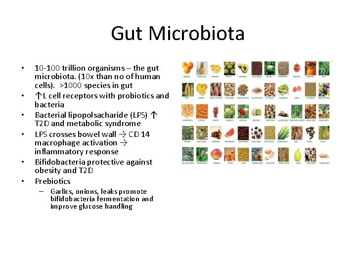 Gut Microbiota • • • 10 -100 trillion organisms – the gut microbiota. (10