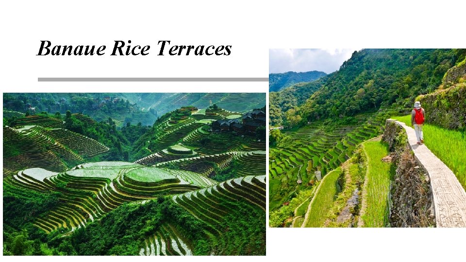 Banaue Rice Terraces 