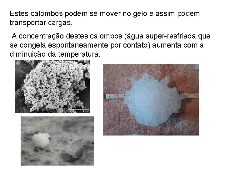 Estes calombos podem se mover no gelo e assim podem transportar cargas. A concentração