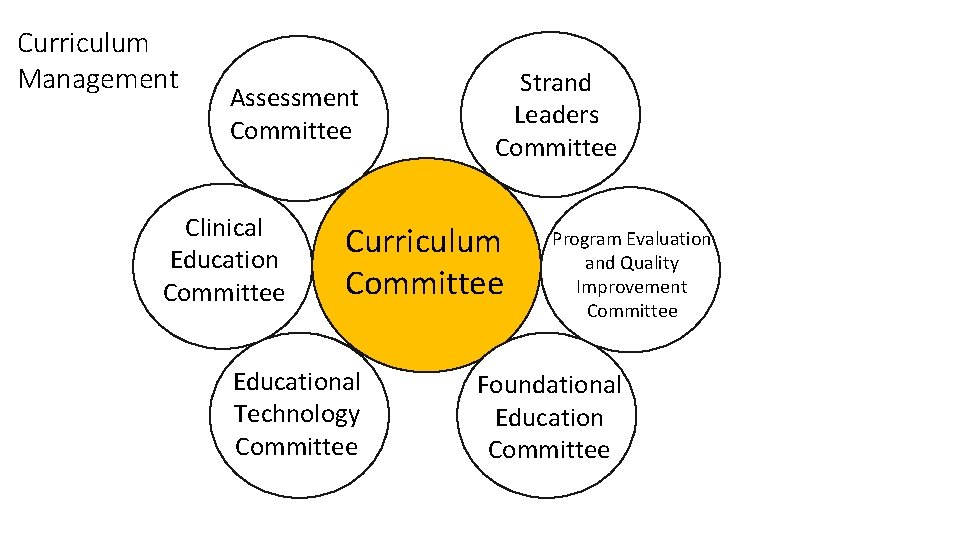 Curriculum Management Assessment Committee Clinical Education Committee Strand Leaders Committee Curriculum Committee Educational Technology