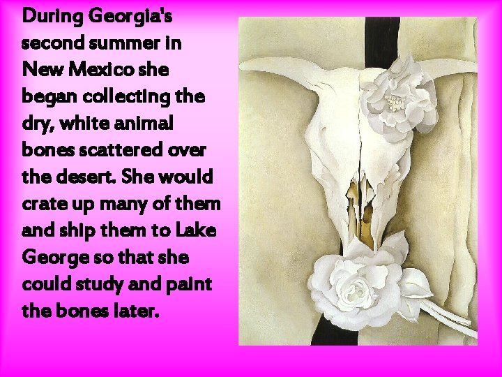 During Georgia's second summer in New Mexico she began collecting the dry, white animal