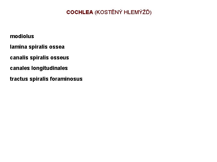 COCHLEA (KOSTĚNÝ HLEMÝŽĎ) modiolus lamina spiralis ossea canalis spiralis osseus canales longitudinales tractus spiralis