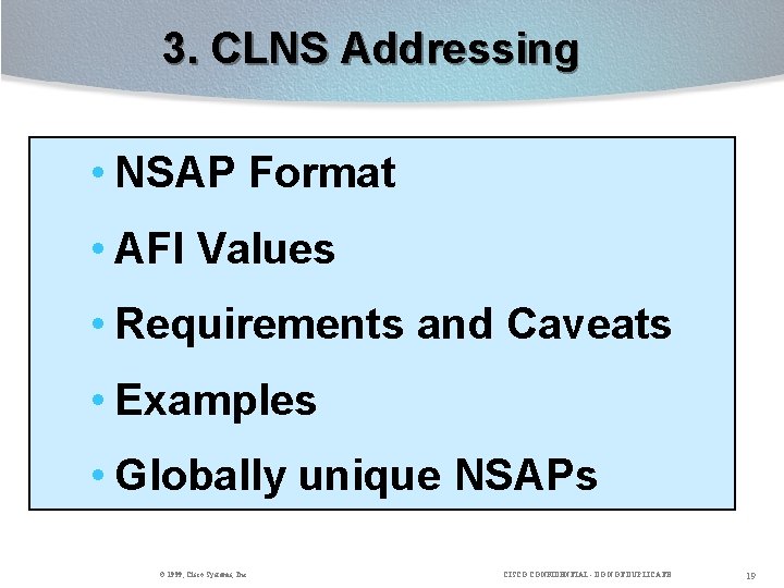 3. CLNS Addressing • NSAP Format • AFI Values • Requirements and Caveats •
