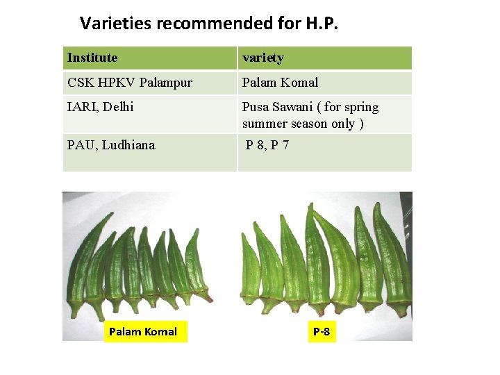 Varieties recommended for H. P. Institute variety CSK HPKV Palampur Palam Komal IARI, Delhi