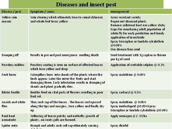 Diseases and insect pest Disease / pest Symptom / cause management Yellow vein mosaic