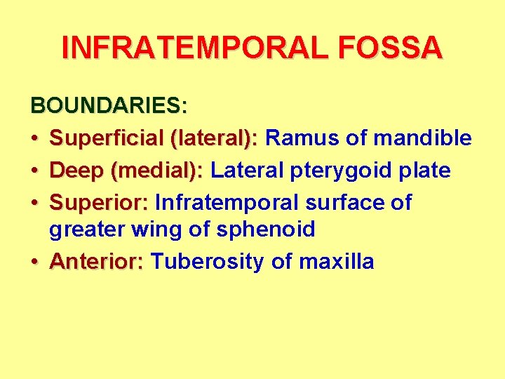 INFRATEMPORAL FOSSA BOUNDARIES: • Superficial (lateral): Ramus of mandible • Deep (medial): Lateral pterygoid