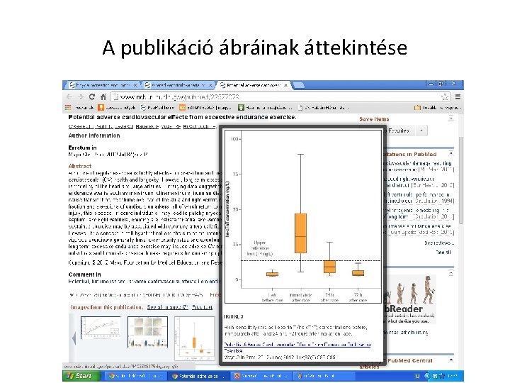 A publikáció ábráinak áttekintése 