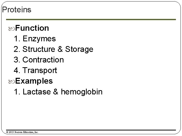 Proteins Function 1. Enzymes 2. Structure & Storage 3. Contraction 4. Transport Examples 1.